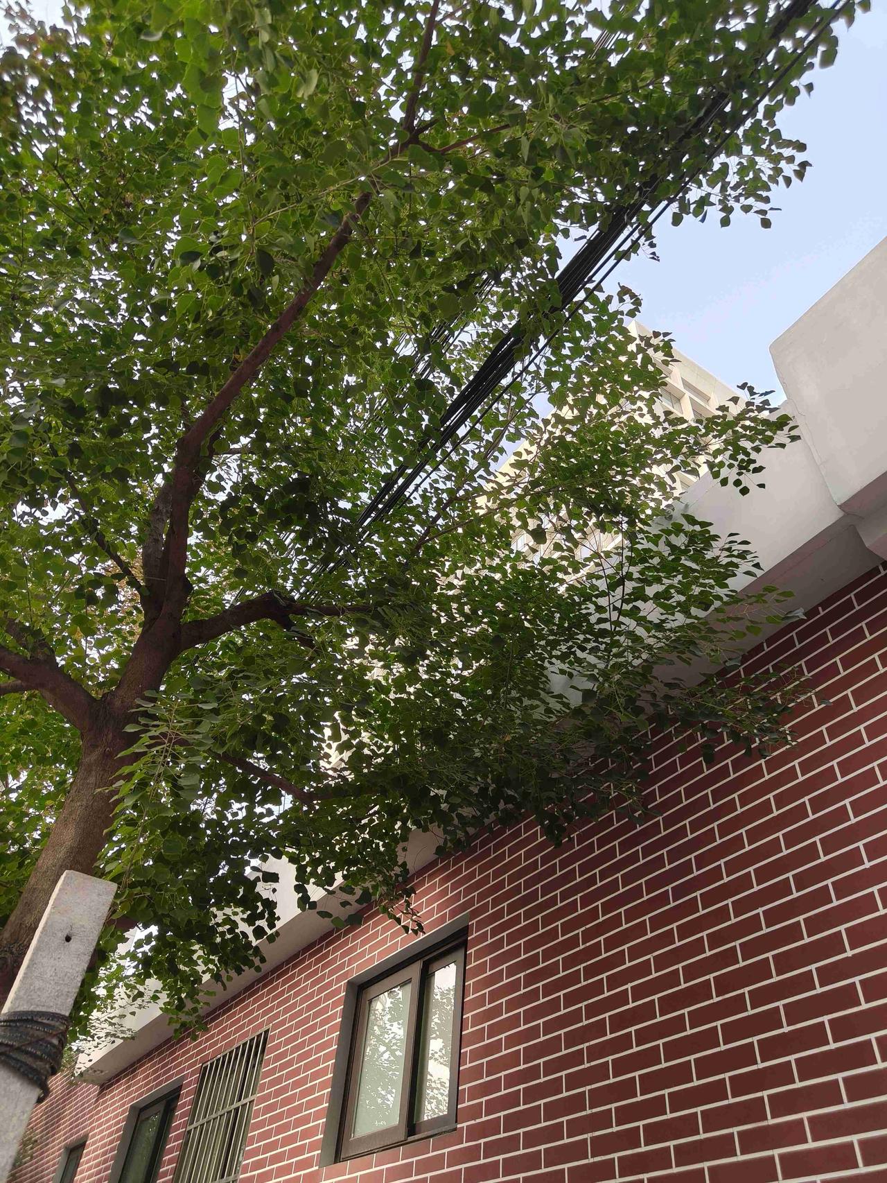 我的今日状态：😭伤心难过
我这里的天气：🌤️多云