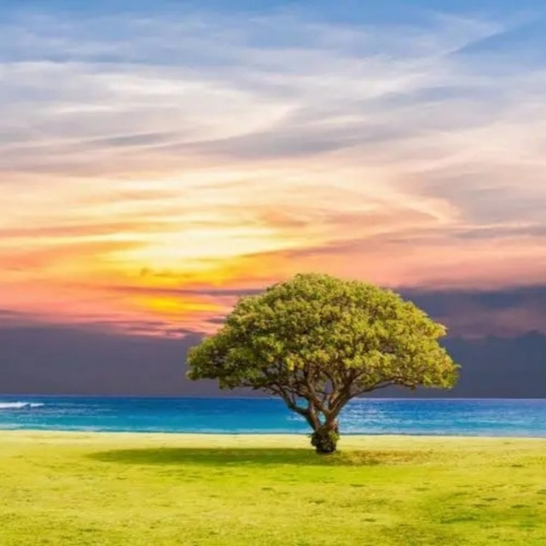 时间不是解药，但解药都在时间里。过去的事，像路过的风景，不必再回头。你只需像树一