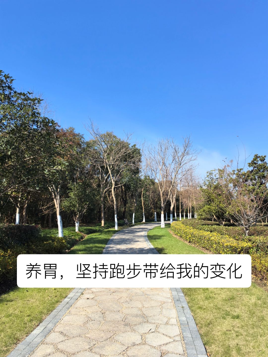 胃不好时，我开始坚持跑步