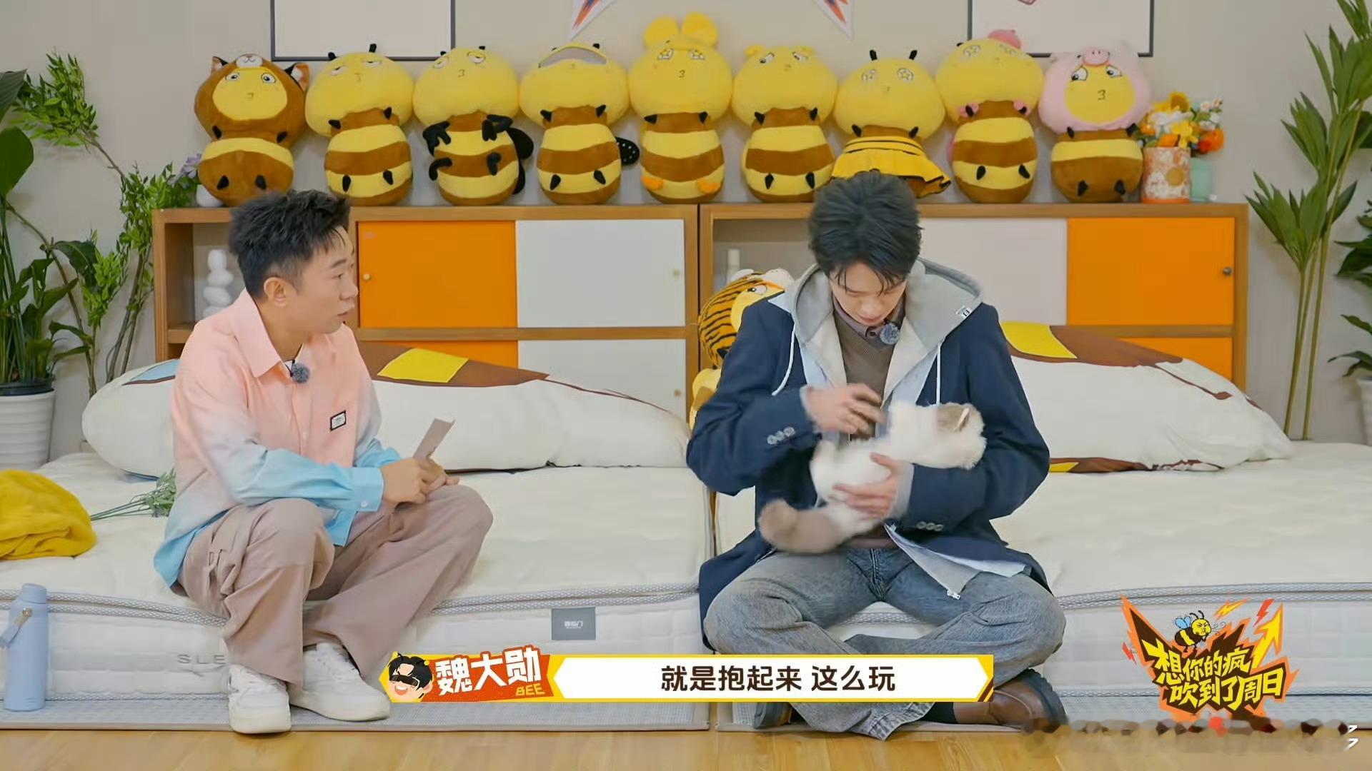 魏大勋还原摸猫神图名场面周五晚高疯 西装帅哥与小猫的温柔名场面封神！拍摄间隙的不