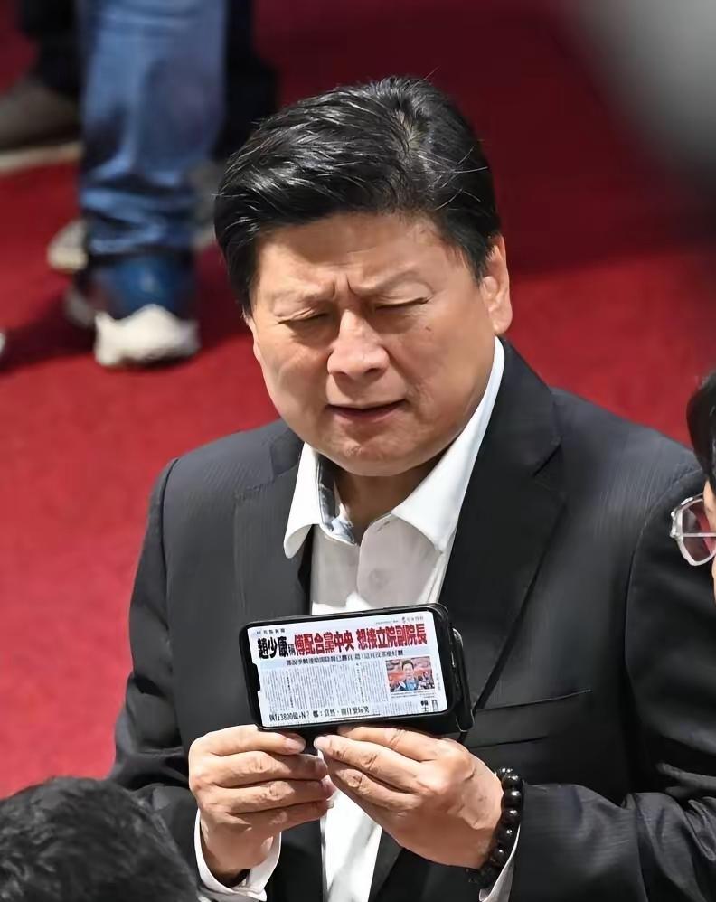 绿媒自由时报报道，赵少康称傅崐萁配合国民党3800+N的军购案，是为了当副院长。