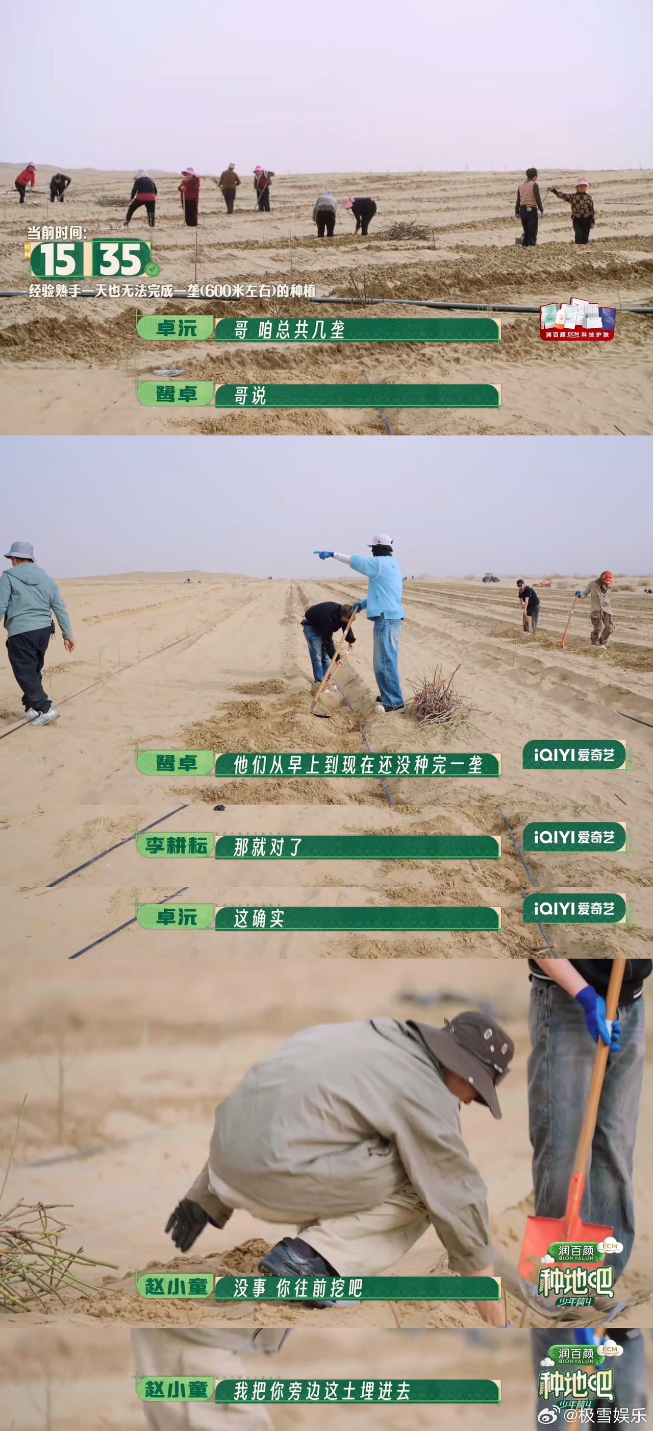 跟着十个勤天看沙漠种花跟着十个勤天看沙漠种花，从黄沙到绿洲，每一滴汗水都浇灌出希