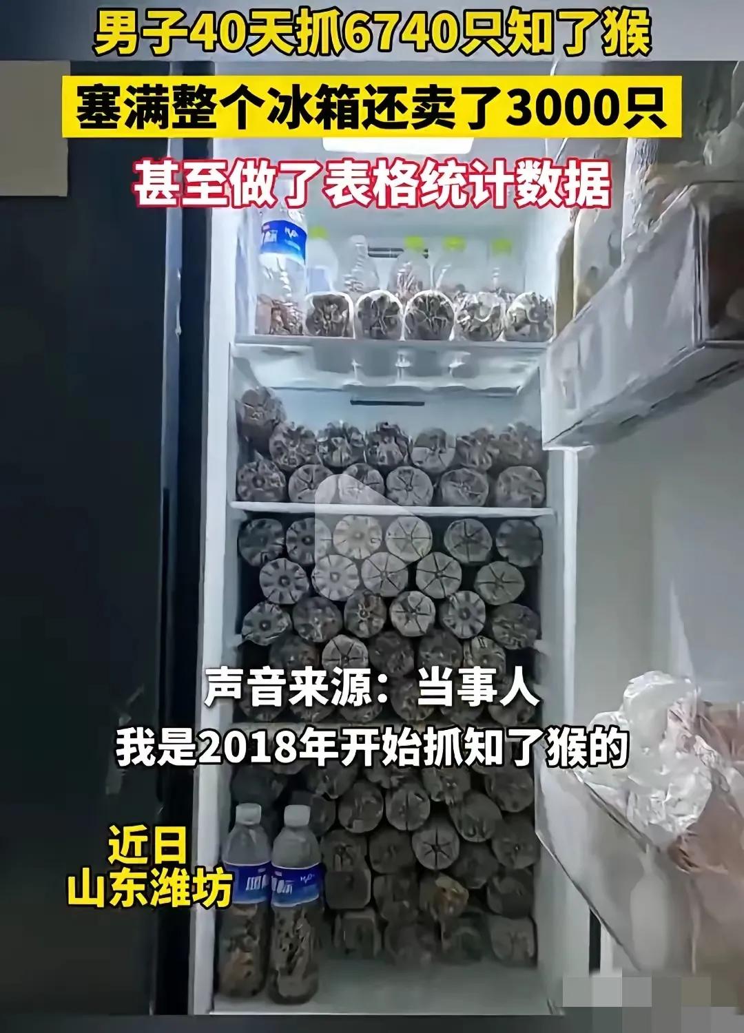 这样的狠 人，简直就是知了猴的终结者！多少知了猴听到他的大名，估计都在瑟瑟发抖[