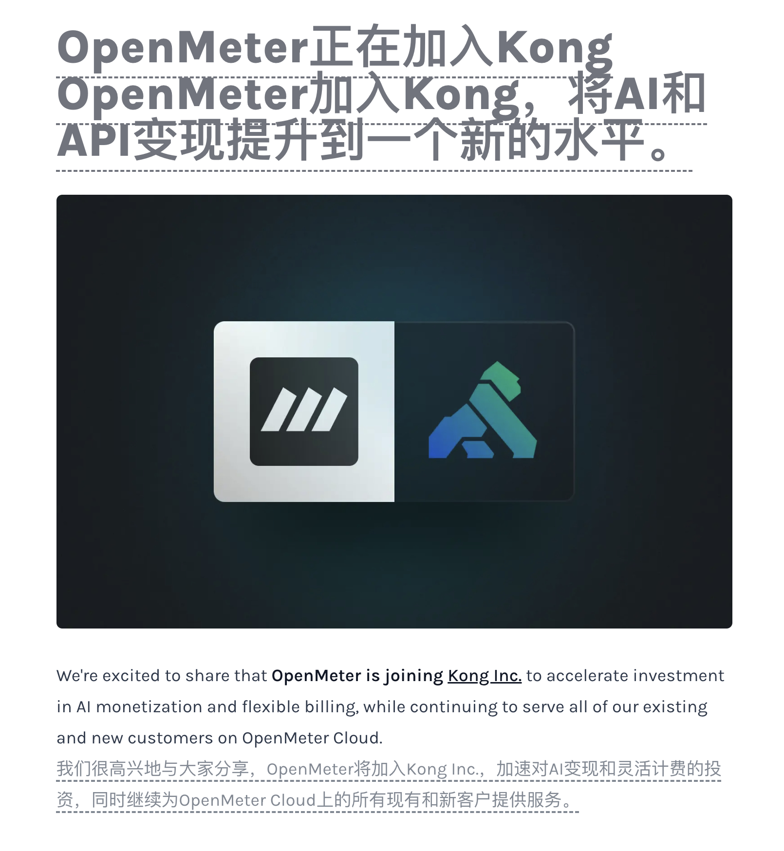 Easy同学正在独立开发 Kong 把 OpenMeter 收了。OpenMet
