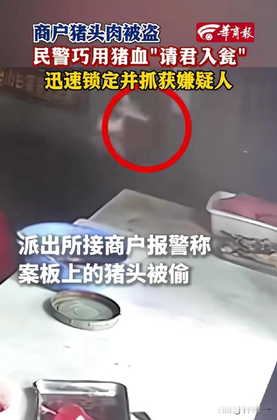 一男子鬼迷心窍偷猪肉，警察巧设妙计“引蛇出洞”逮个正着！

近日辽宁铁岭一商户老