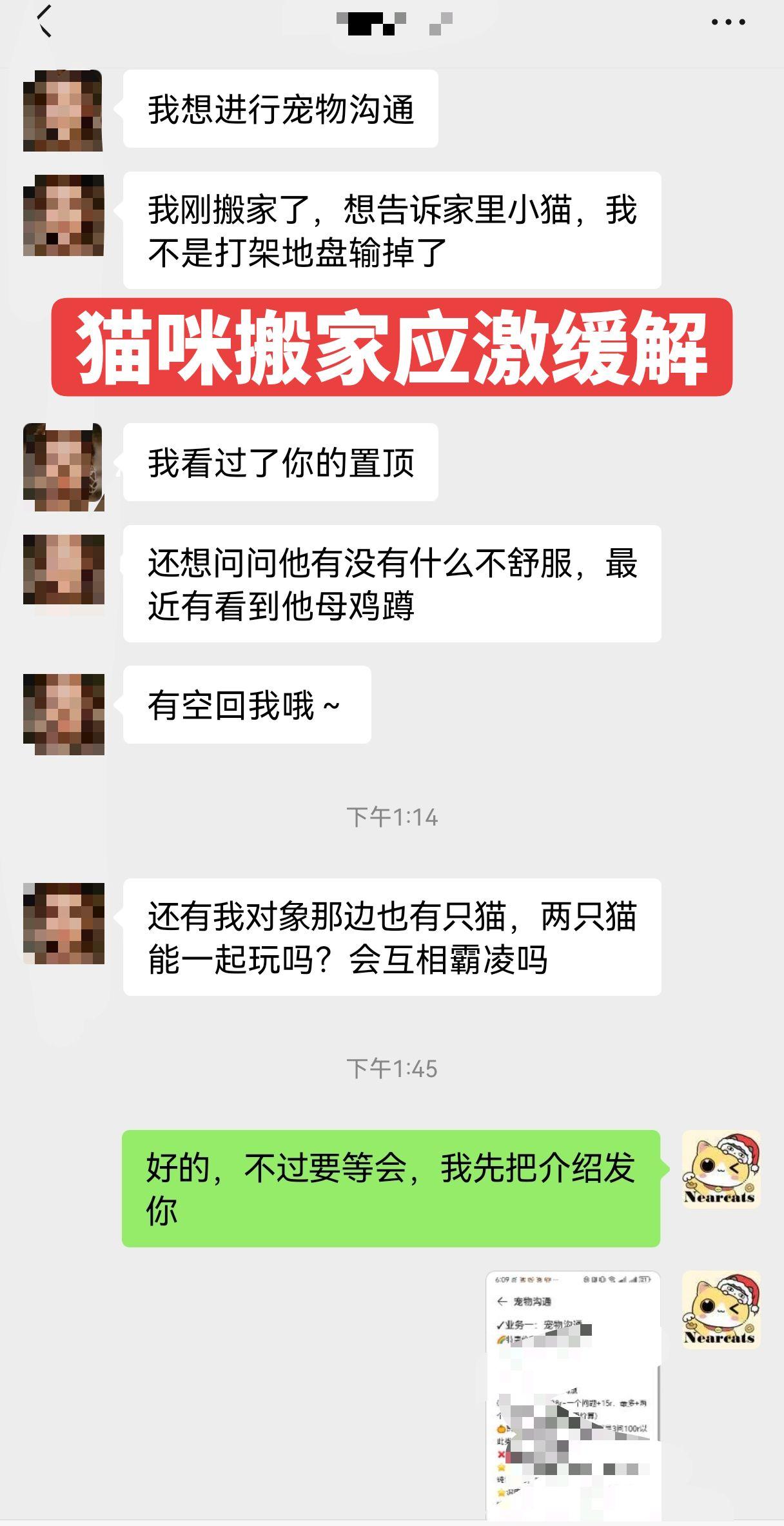 猫咪应激了怎么办？