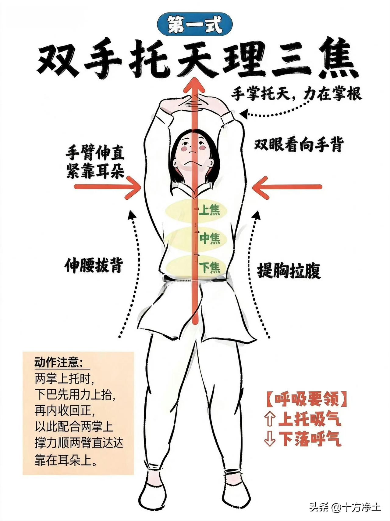 八段锦细节分解😁
