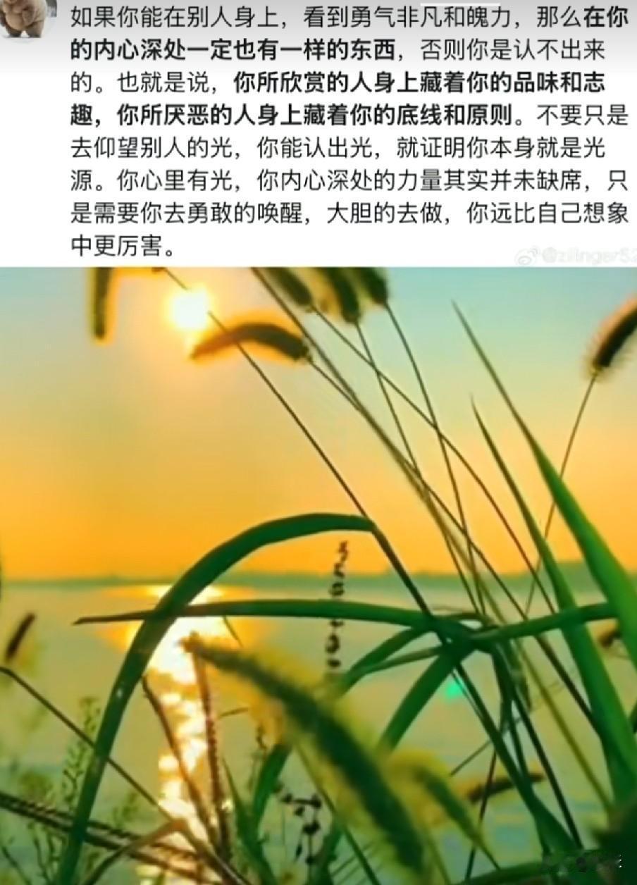 [微风]妯娌一直做手工阿胶糕的微商生意。自己熬着卖，也发展下线。听她说这些年也挣