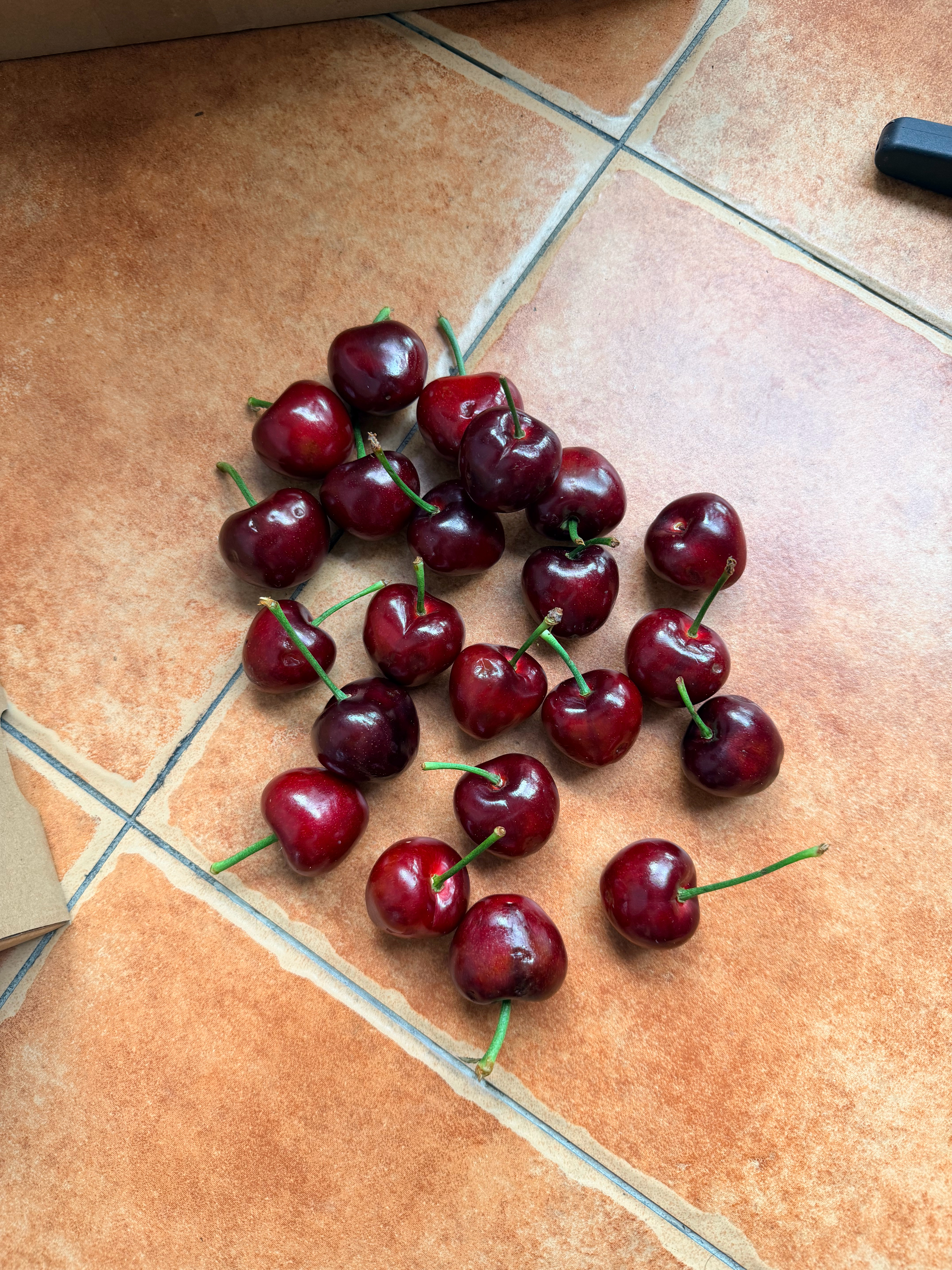 最近看见大连樱桃上市了就在某东买了一箱试试有这么多软果烂果但价格比车厘子还更贵上