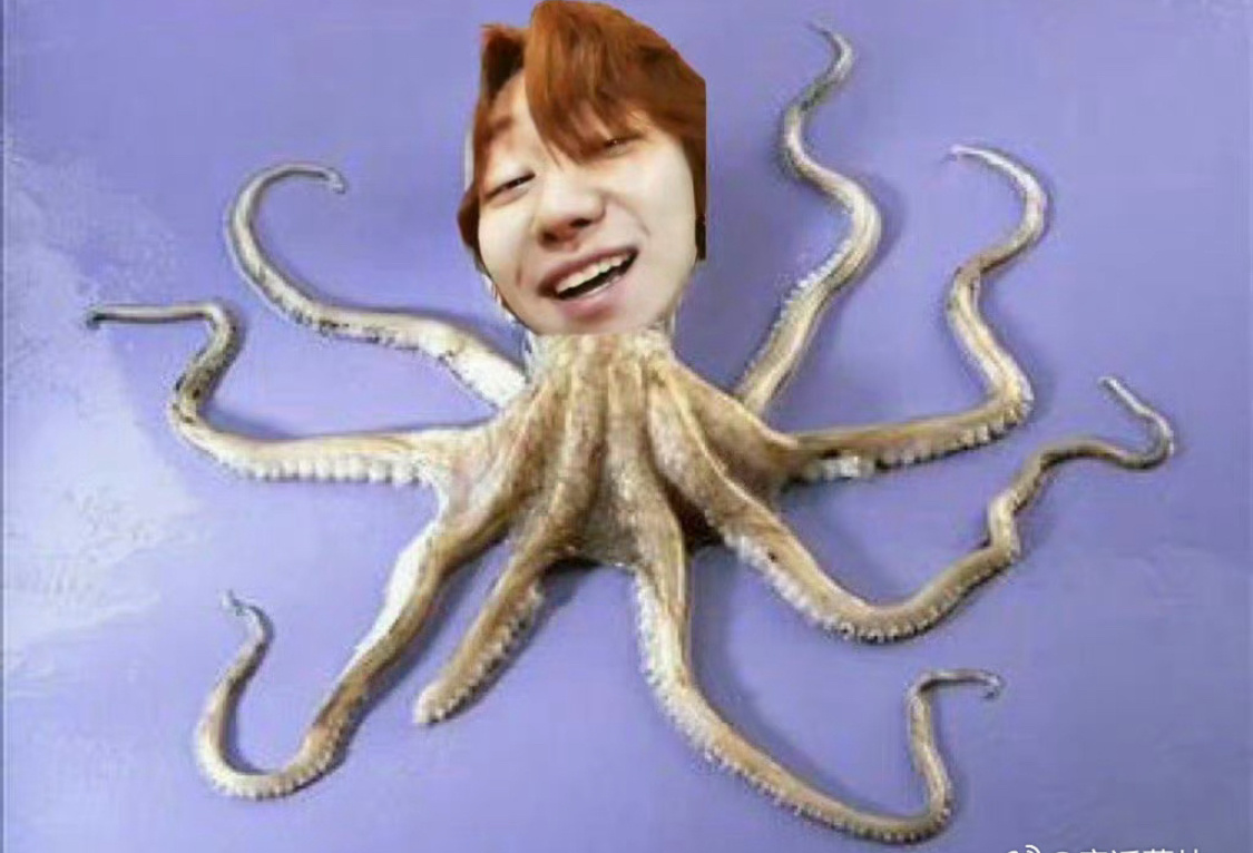 徐明浩老板来个🐙🐙小丸子 不要🐙谢谢哟