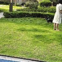 今天早上在小区里看见了几个小狗狗。
狗主人都很有自觉，会在人少的时候牵狗出来溜。