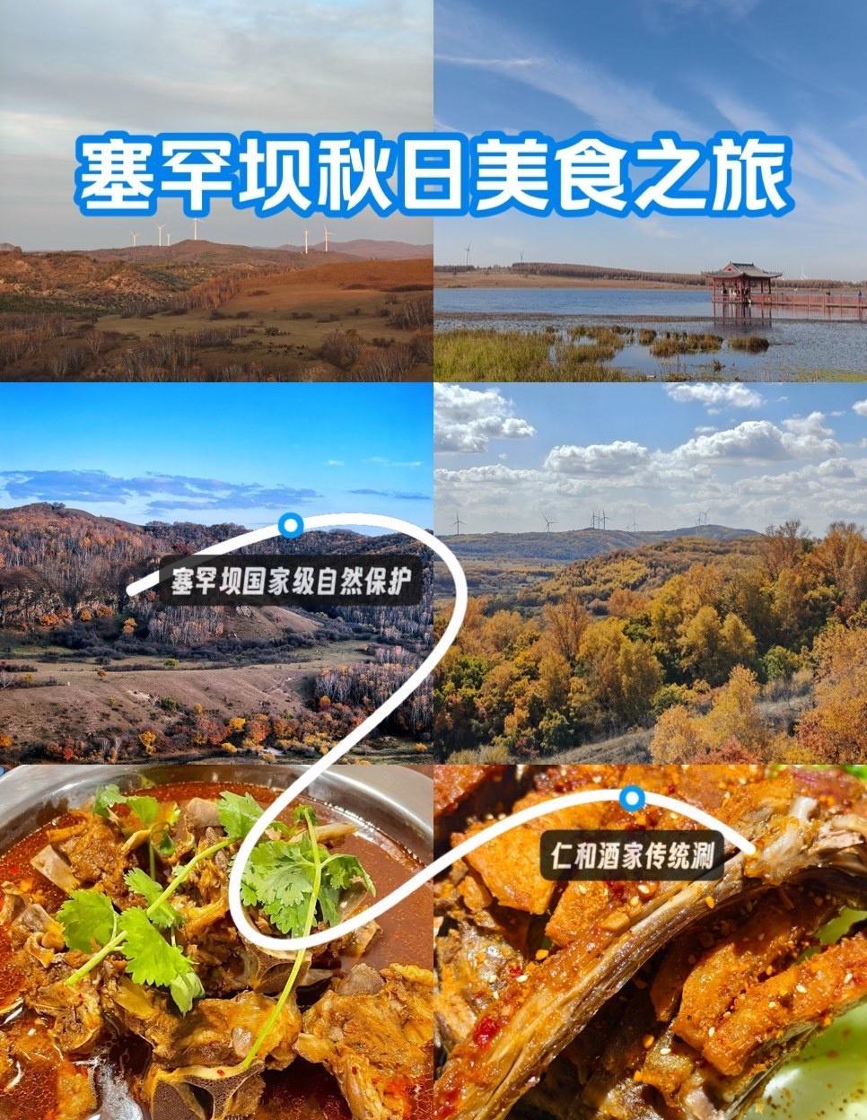 十一假期自驾奔赴塞罕坝，才算不负这秋日好时光。车子驶入塞罕坝森林公园，目之所及皆