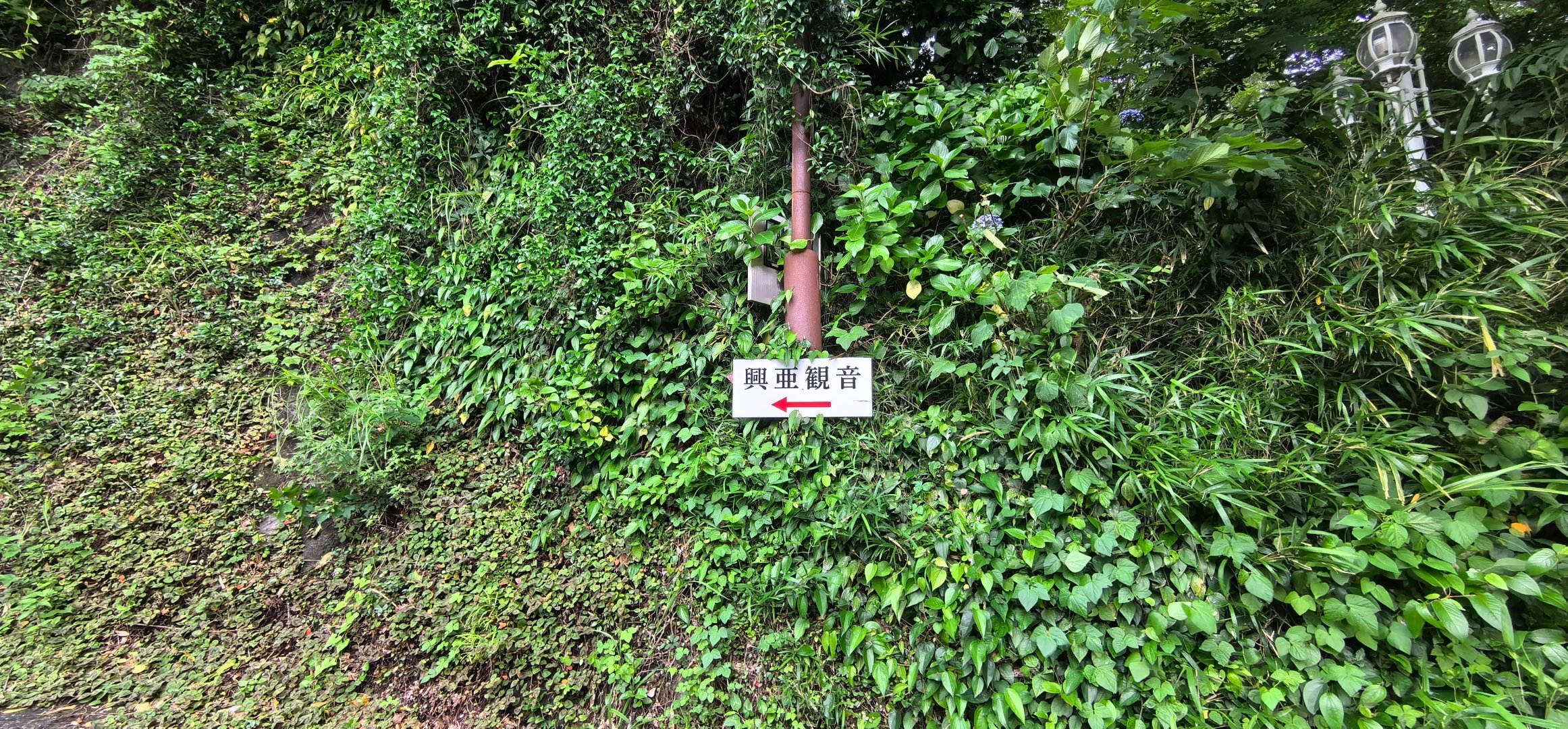 分享图片 ​​​