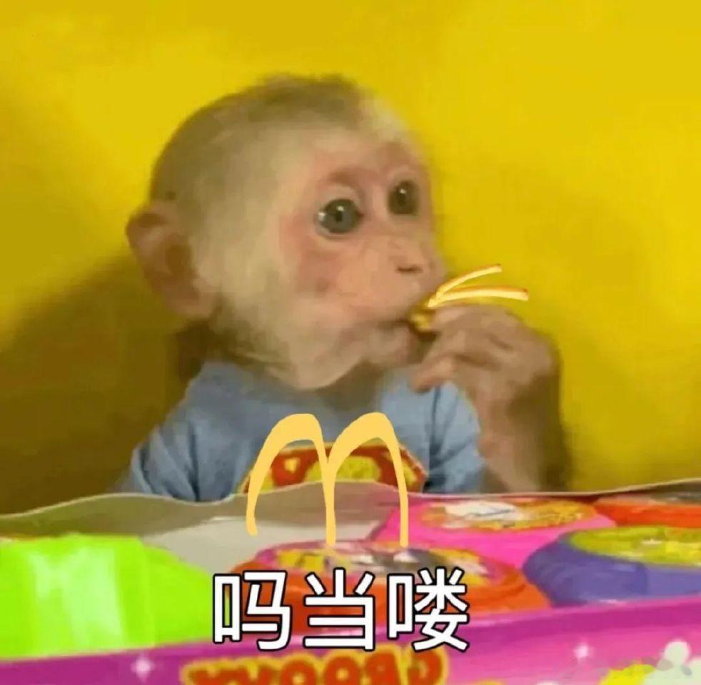 [开学季]大家来说最宠你们的是什么星宿配置♥（本命➕值日[馋嘴]）我先说——本命