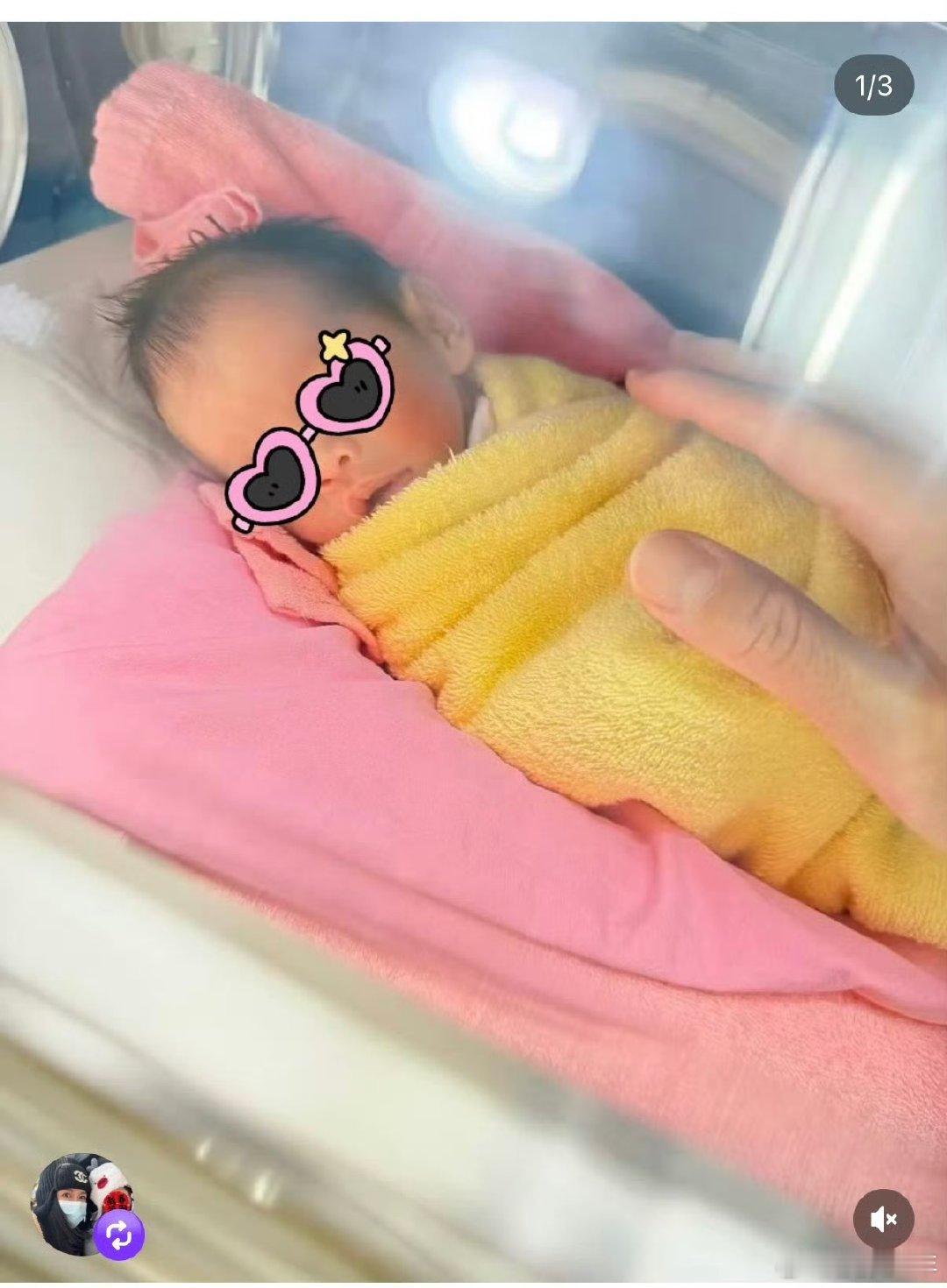 蝴蝶姐姐生双胞胎蝴蝶姐姐生双胞胎女儿蝴蝶姐姐生双胞胎，她说“妈妈已经准备好和你们