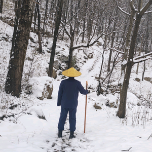 秦岭终南山居日记