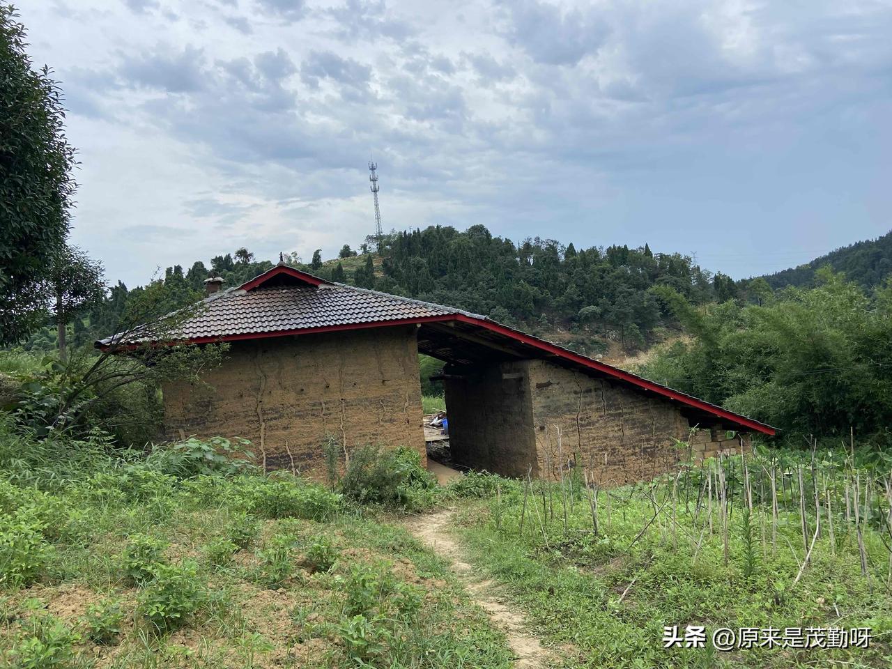 这是我们花3万在山里买的一套土瓦房，瓦片已经换过来了，219个平方花了24000
