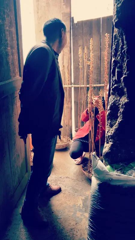 做上门女婿真的丢人吗？这事儿不能一概而论。在古代，上门女婿可不好当，得立入赘契约