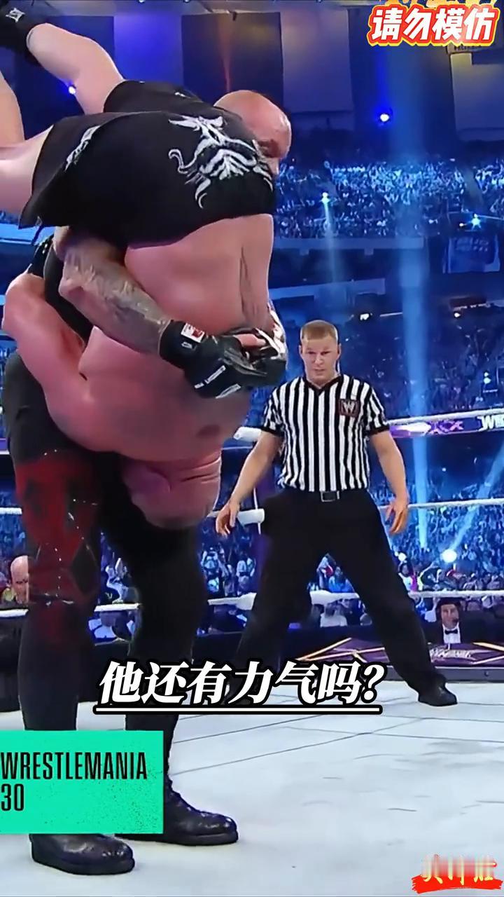 他还有力气做什么？送葬者和Brock Lesnar在一起，也许在找墓碑桩。他还有