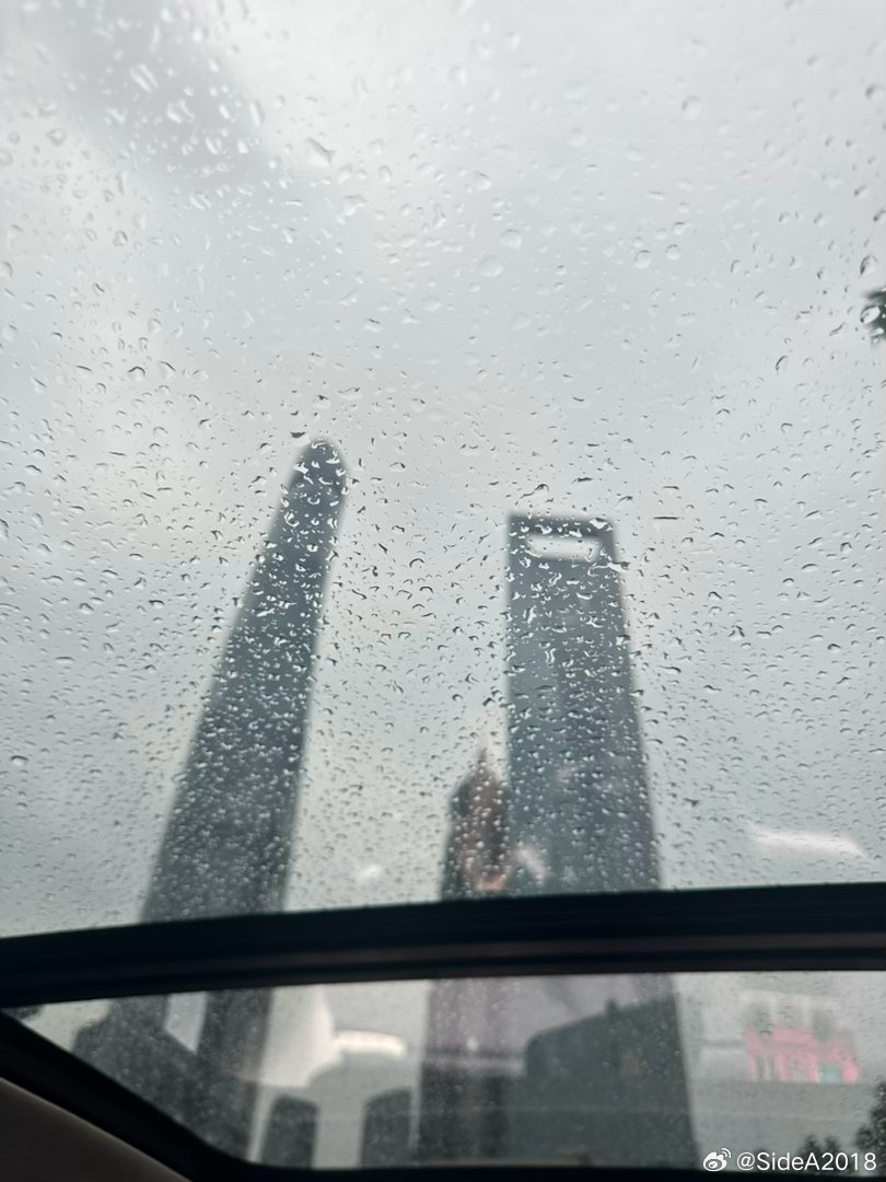 完美的一天 