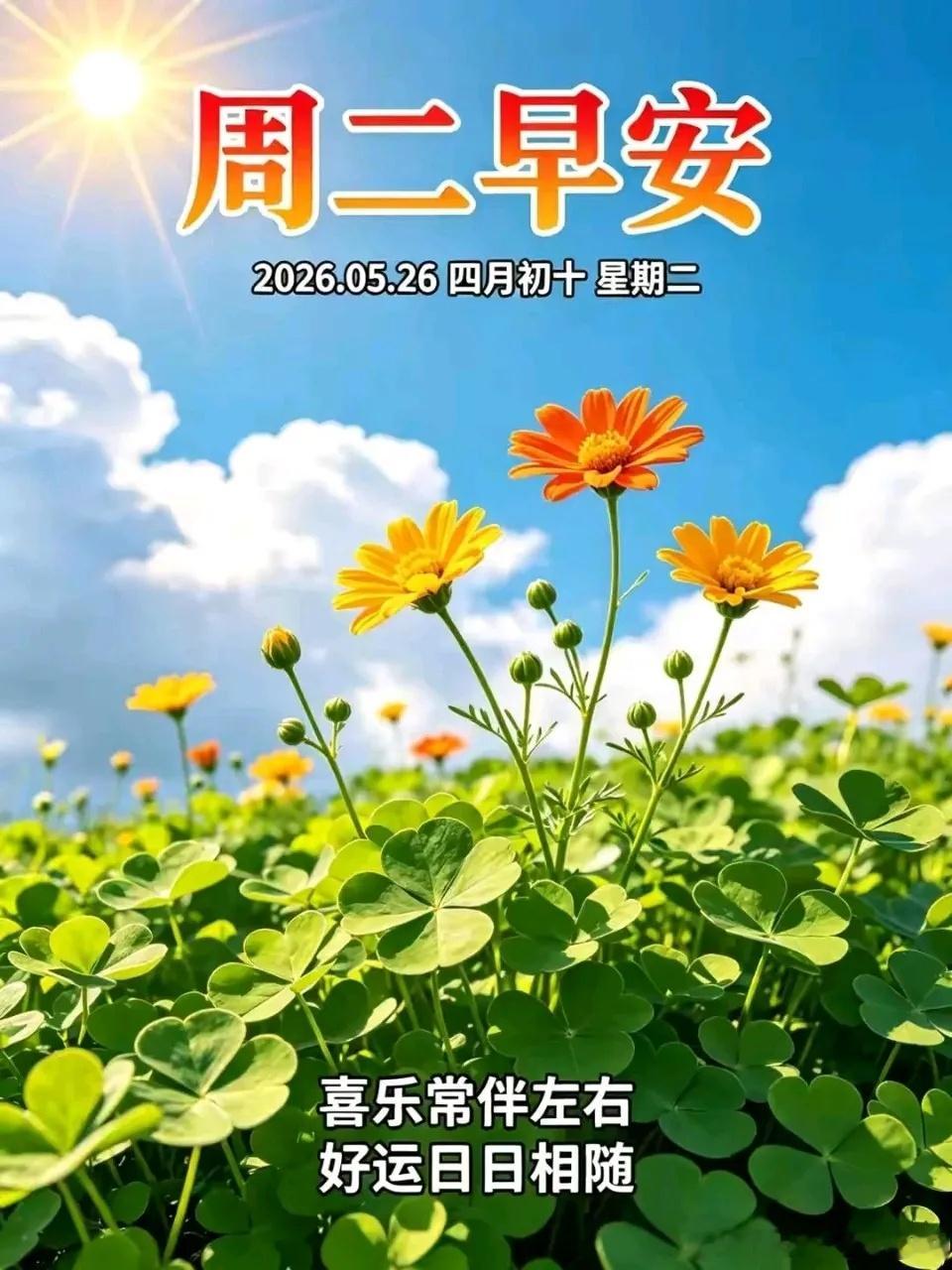 分享图片 