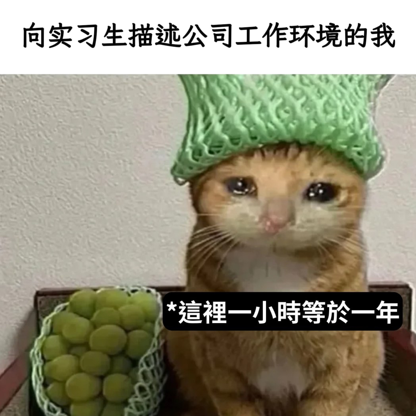 赶紧逃命吧memesmemes[超话] ​​​