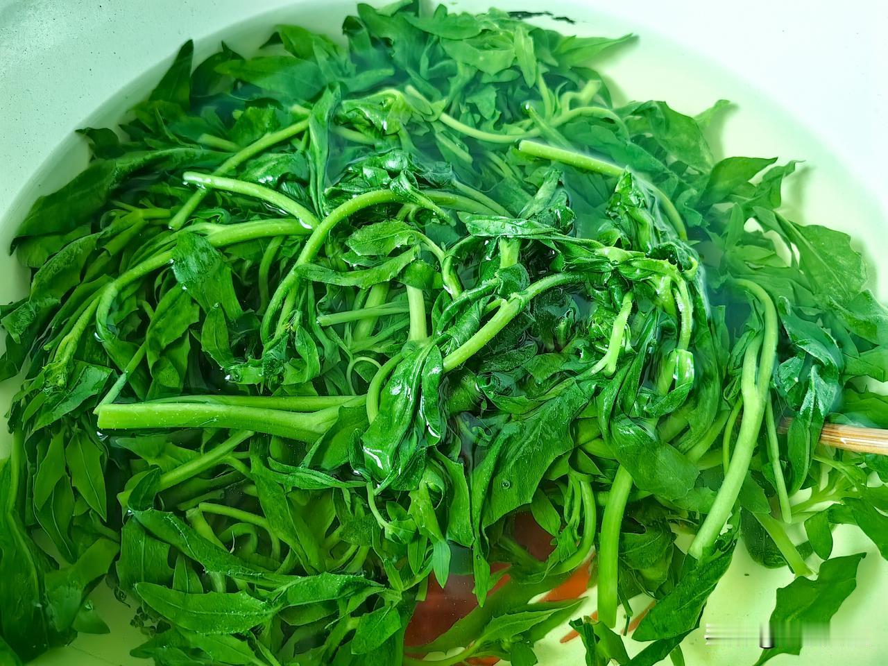 时令蔬菜油菜叶吃了，香椿炒鸡蛋夹馍吃了，荠荠菜饺子吃了，折耳根凉拌吃了，趴地菠菜