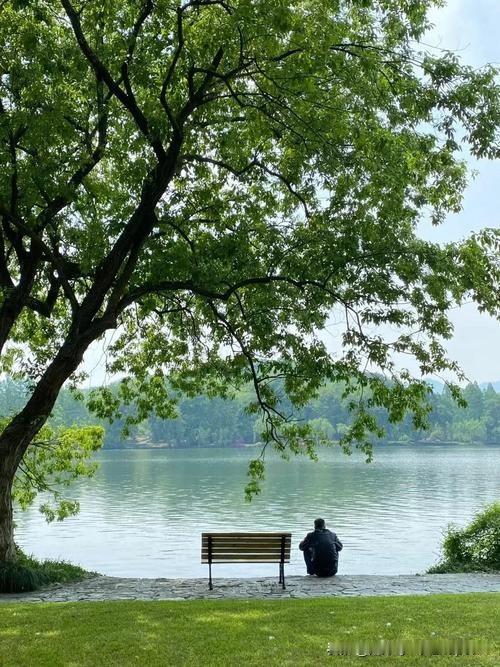 《立夏日南风大作·其一》
——宋.项安世
堤边树子最无情，
恰则春归第一程。
舞