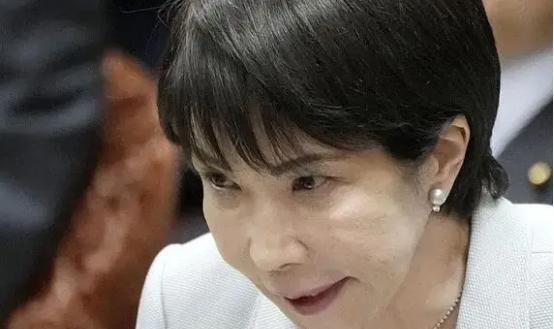 日本不怕中国有导弹，也不怕中国的 核武器 ，甚至不怕中国的稀土制裁，他们害怕就是