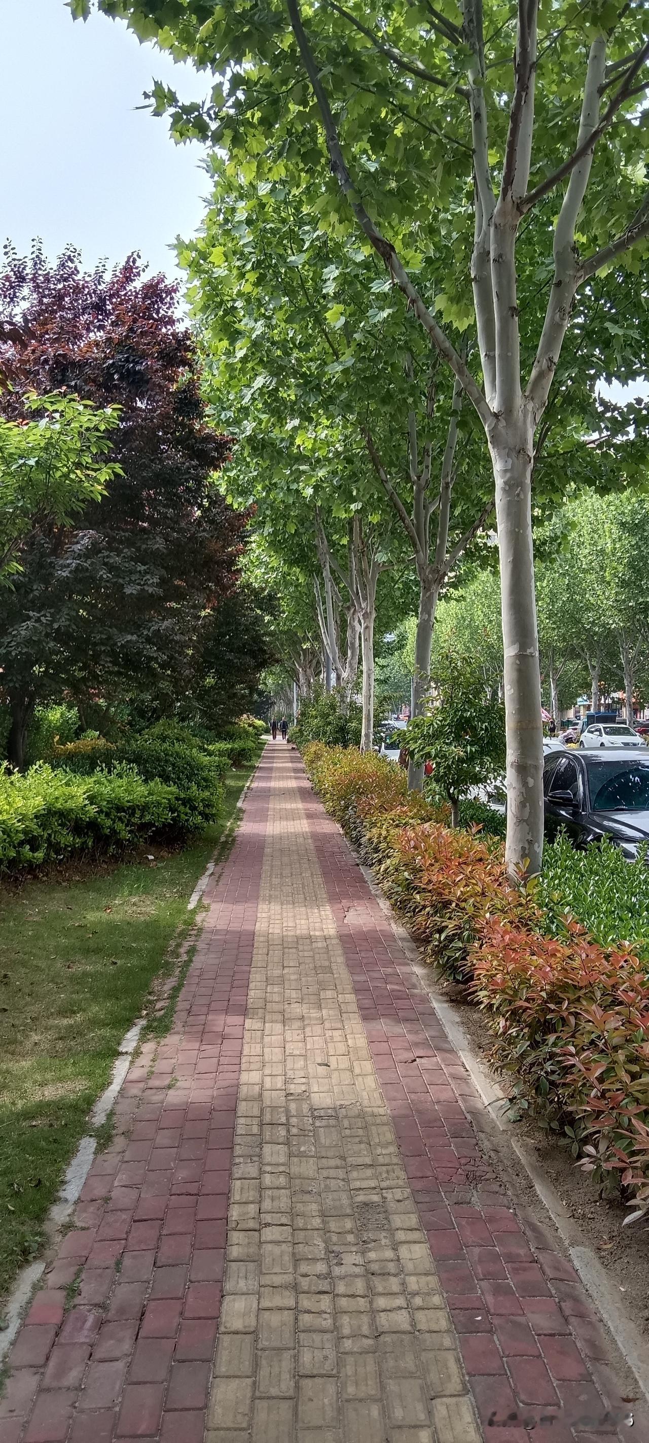 不要把同事当朋友，不要把朋友当亲人。平时，你和同事朋友天天喝酒，当你有事了，看看