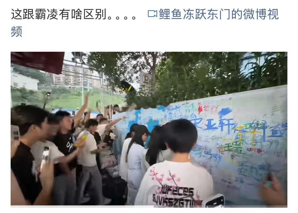 🤢bro们激情跪追国外运动明星的时候也没见有女孩子去抗议啊欺负追星的小女孩很光