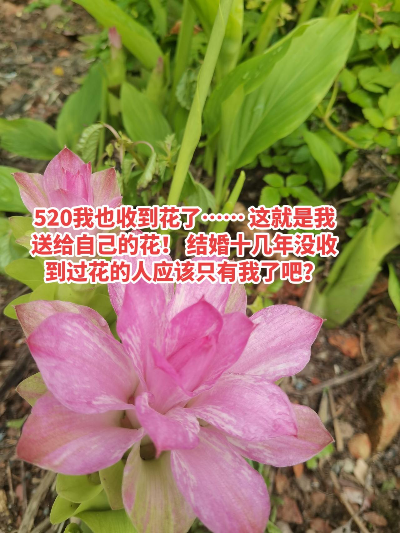 520礼物 520 情感共鸣 情感 内容过于真实