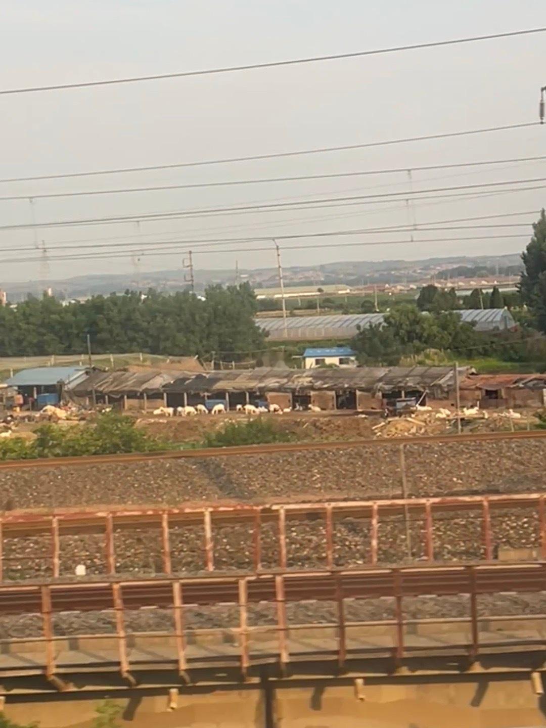 今天又回到了30平的小窝里 其实我有一刻都在想 这个距离能不能依旧是 住在小窝然