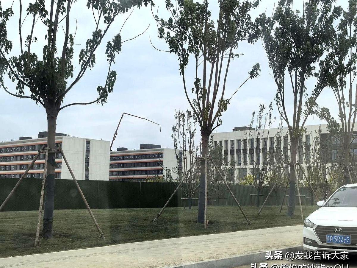 临沂头条 临沂市高新区再添一所大学，临沂城市职业学院，马上就要完工了，不知道这所