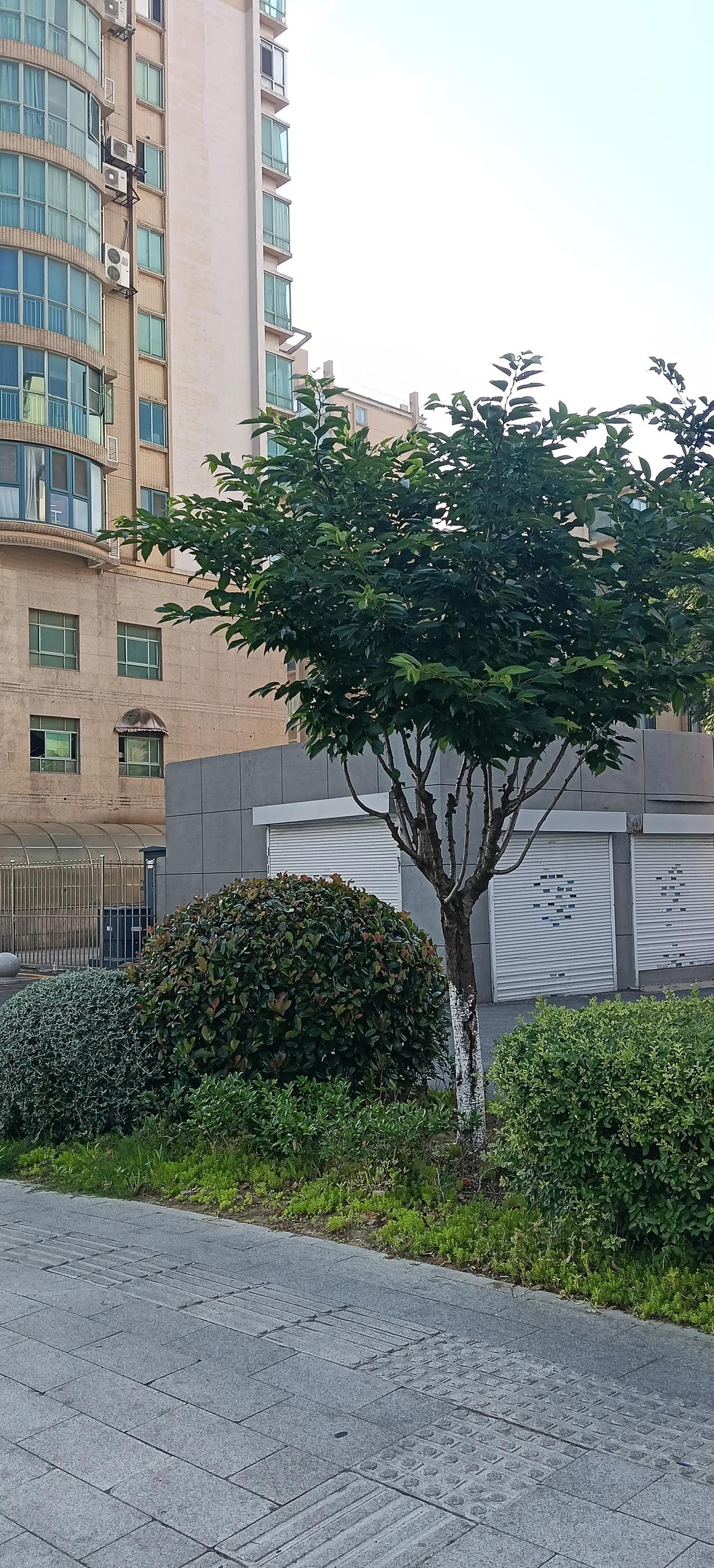 岁岁风调雨顺，请赐下联
年年国泰民安。闲来吟诗作对，邀各位文友一展文采，共品传统