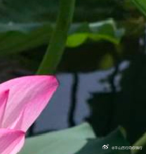 每日一善每日一善‎阳光‎信用 🌞极好784，均🉑蹭🉑转与优质用户保持良好的