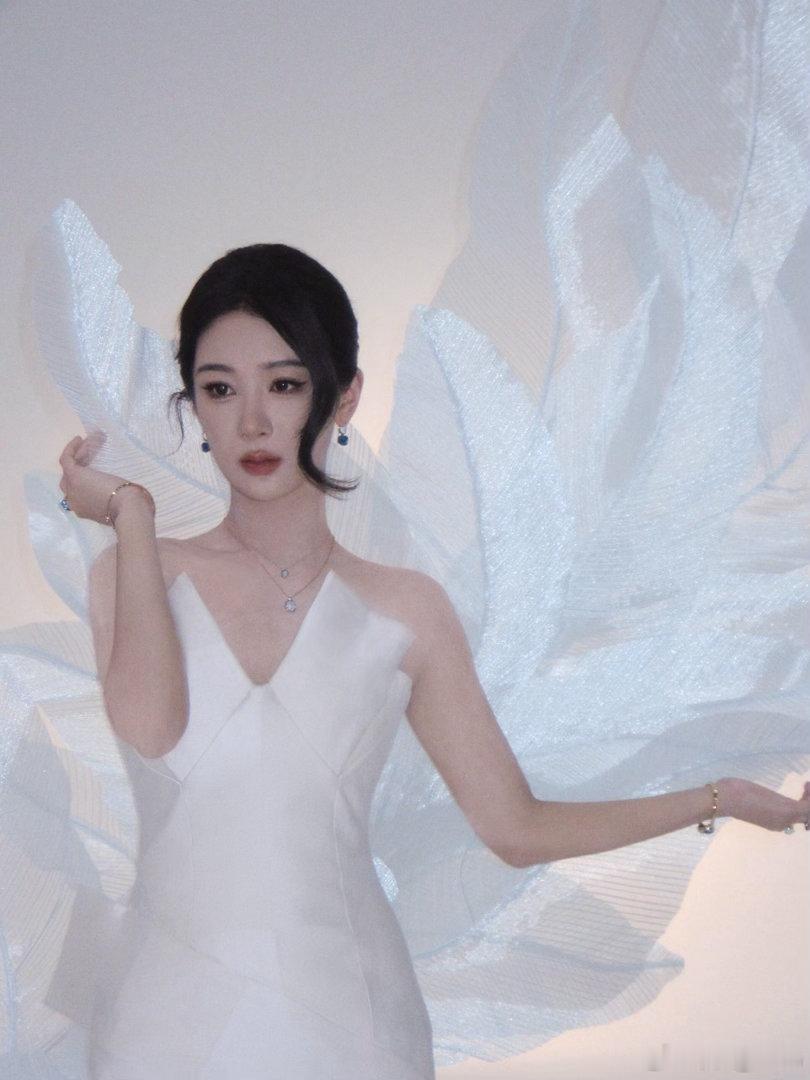 l宝曼兰朵全球品牌代言人杨紫 "Don't ask me if I have y