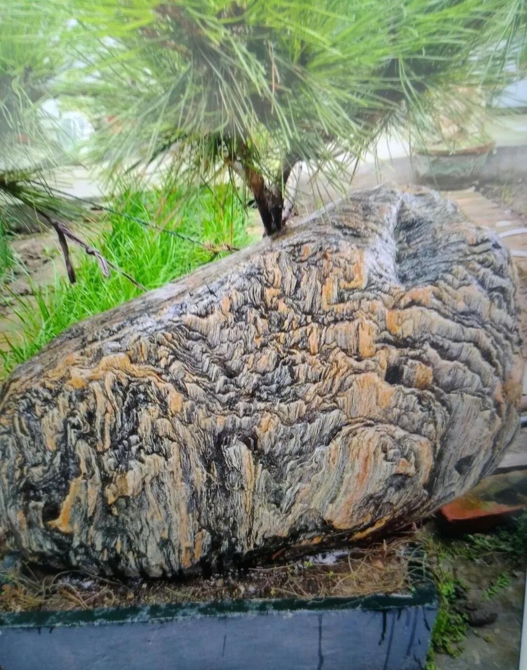 大自然的鬼斧神工！