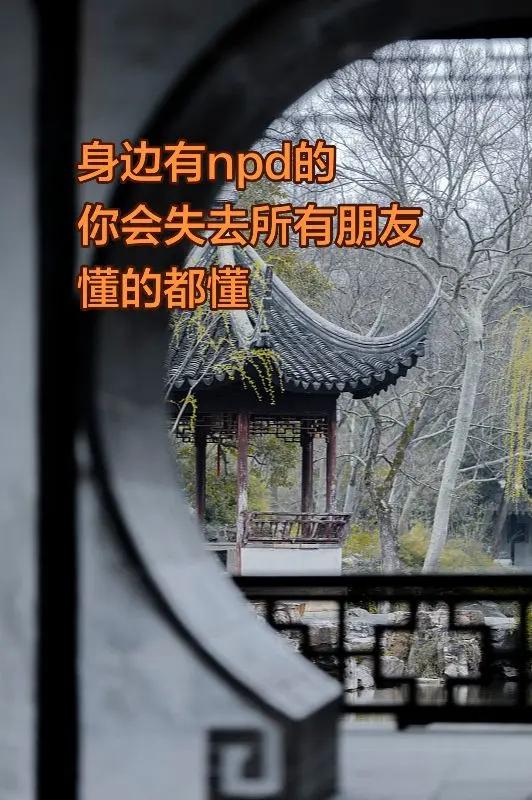 逻辑很简单:npd为了容易操控你，会通过不断挑拨离间，切断你所有的社会关系。看清