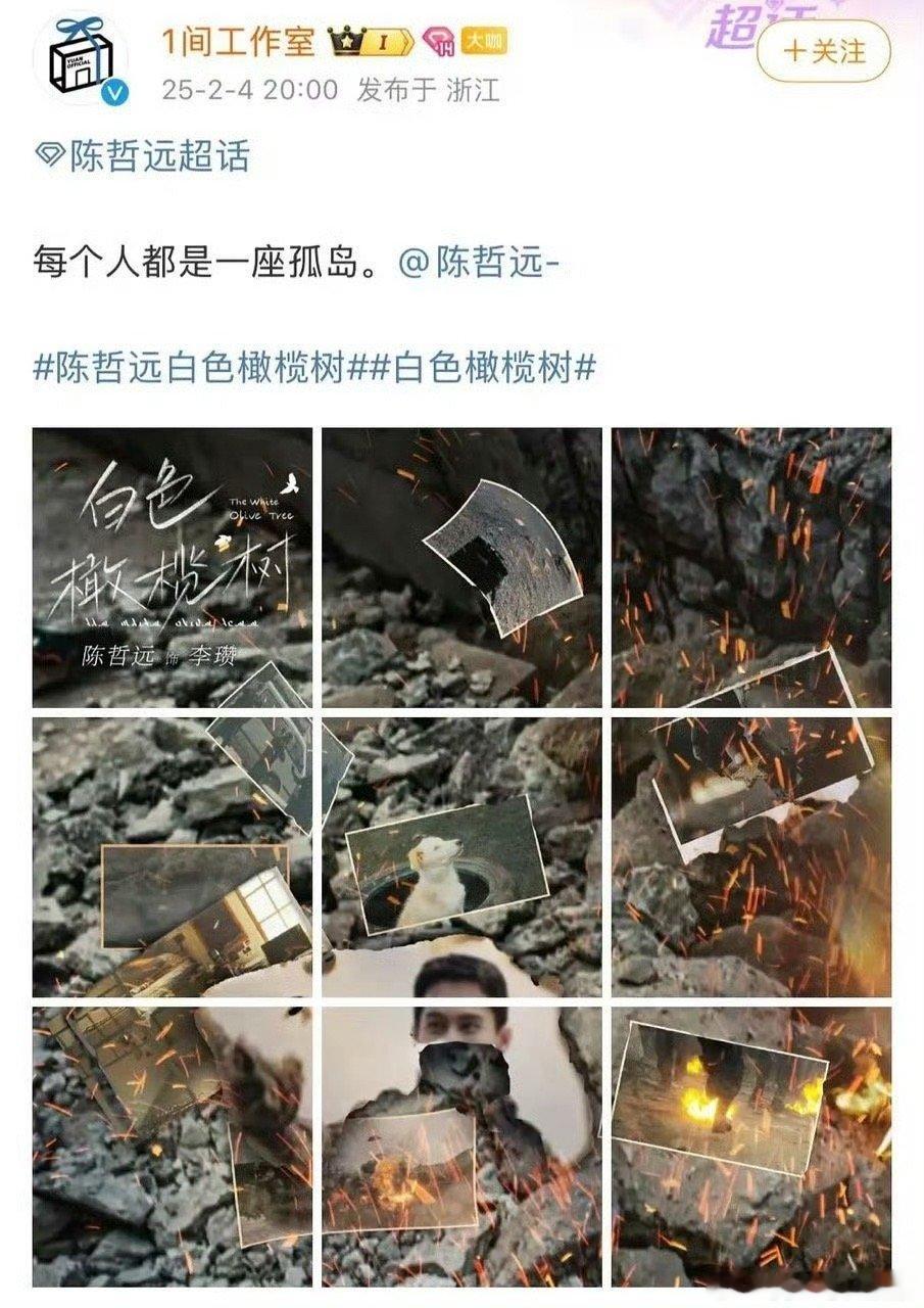 陈哲远工作室这是过年过傻了吗 