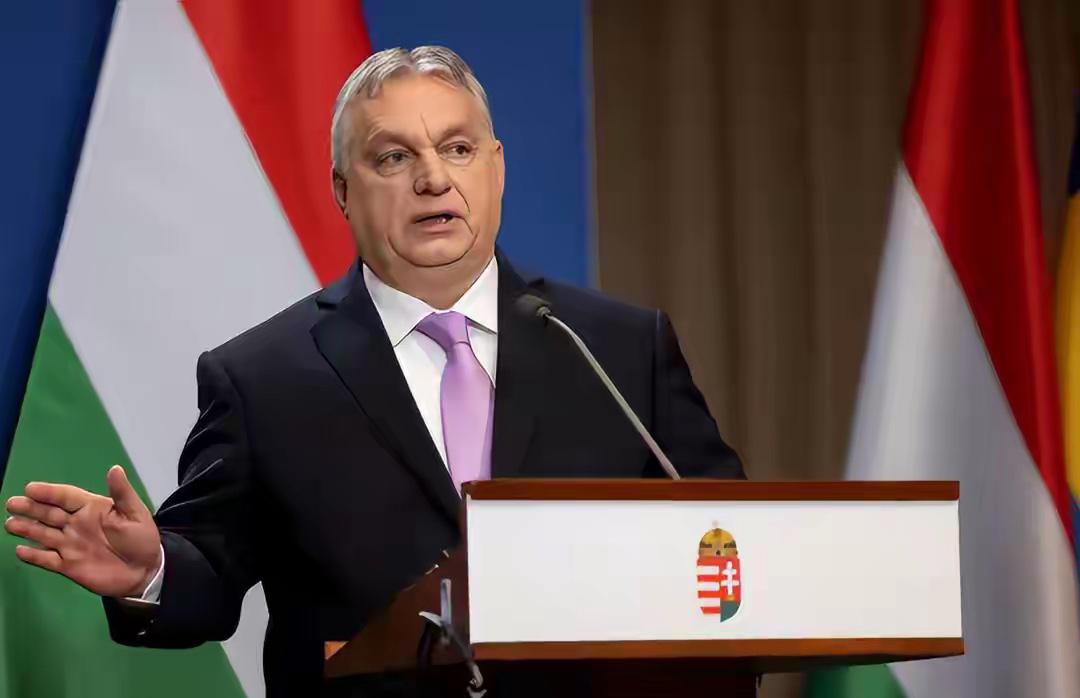 欧洲这个小国，硬刚整个欧盟替中国出头，背后真相让人破防

说实话，国际政治这事儿