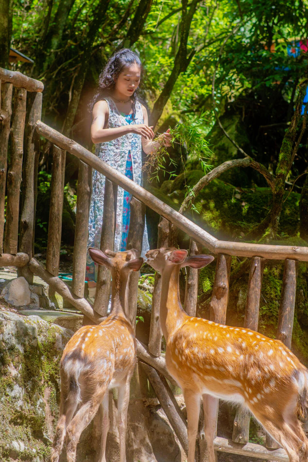 感受九皇山魅力！亲子游的攻略来啦