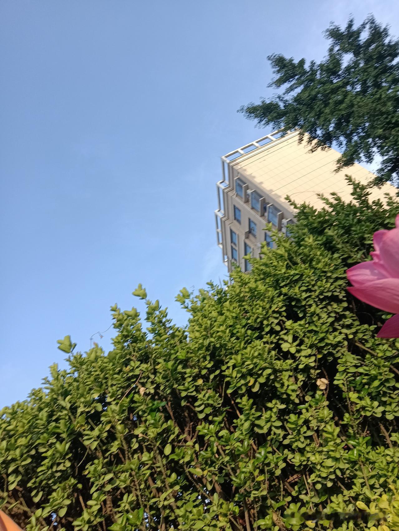1、经常喝大酒的人，一个都靠不住。

2、在你面前无所顾忌，不给你留面子的人，不