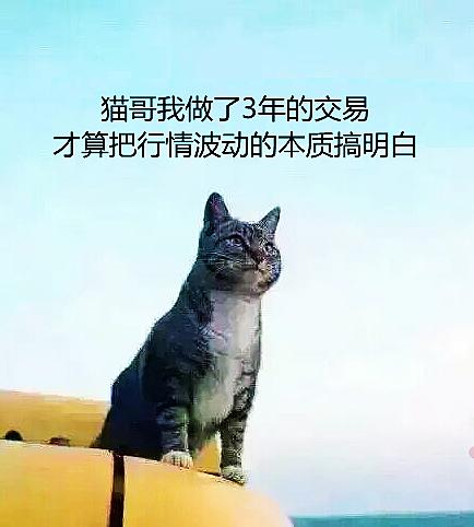 我发现做交易有个挺有意思的规律，越上进的人反而越容易亏钱，越躺平的人反倒能赚到钱