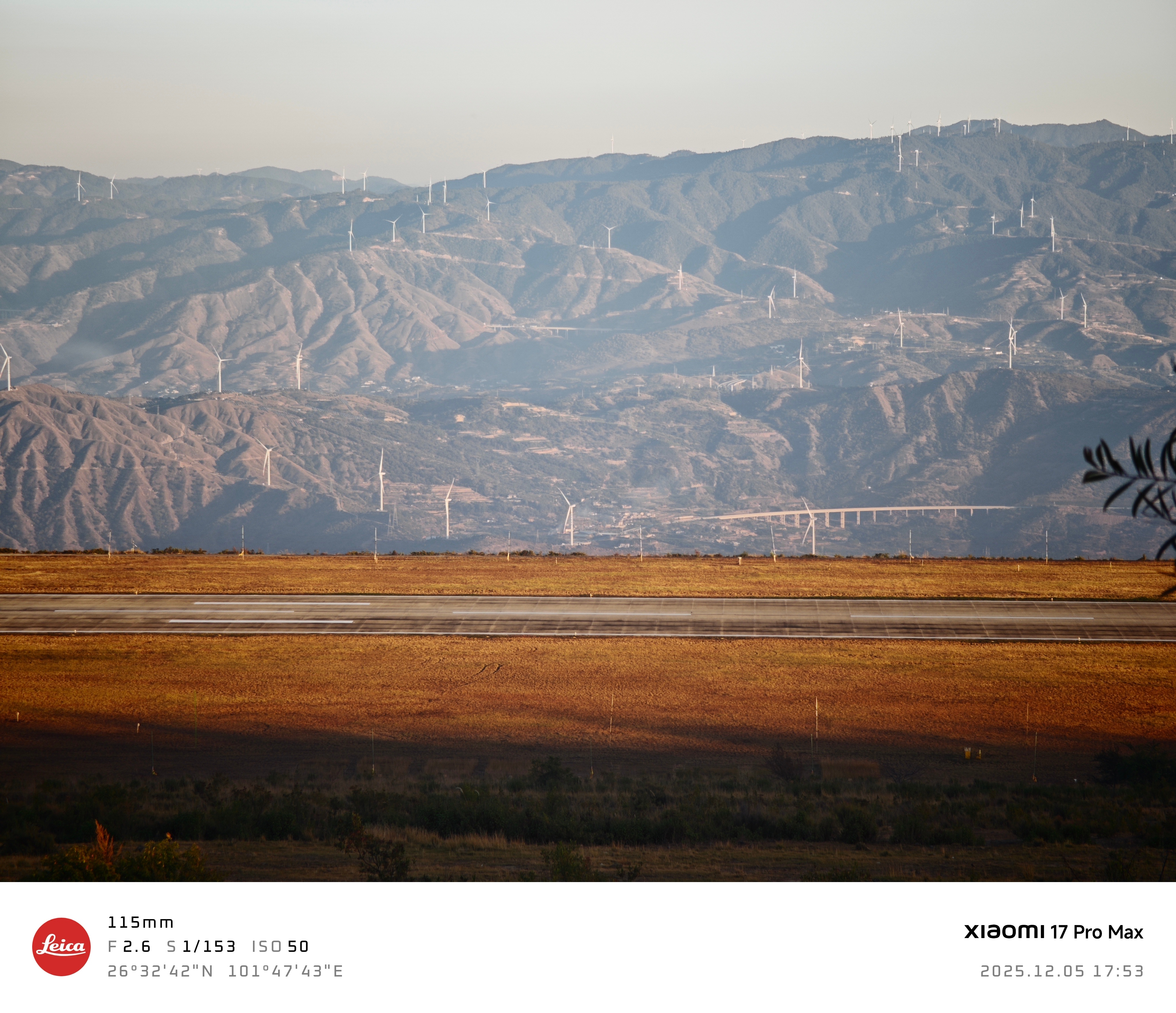 刚拍的大片，打几分？