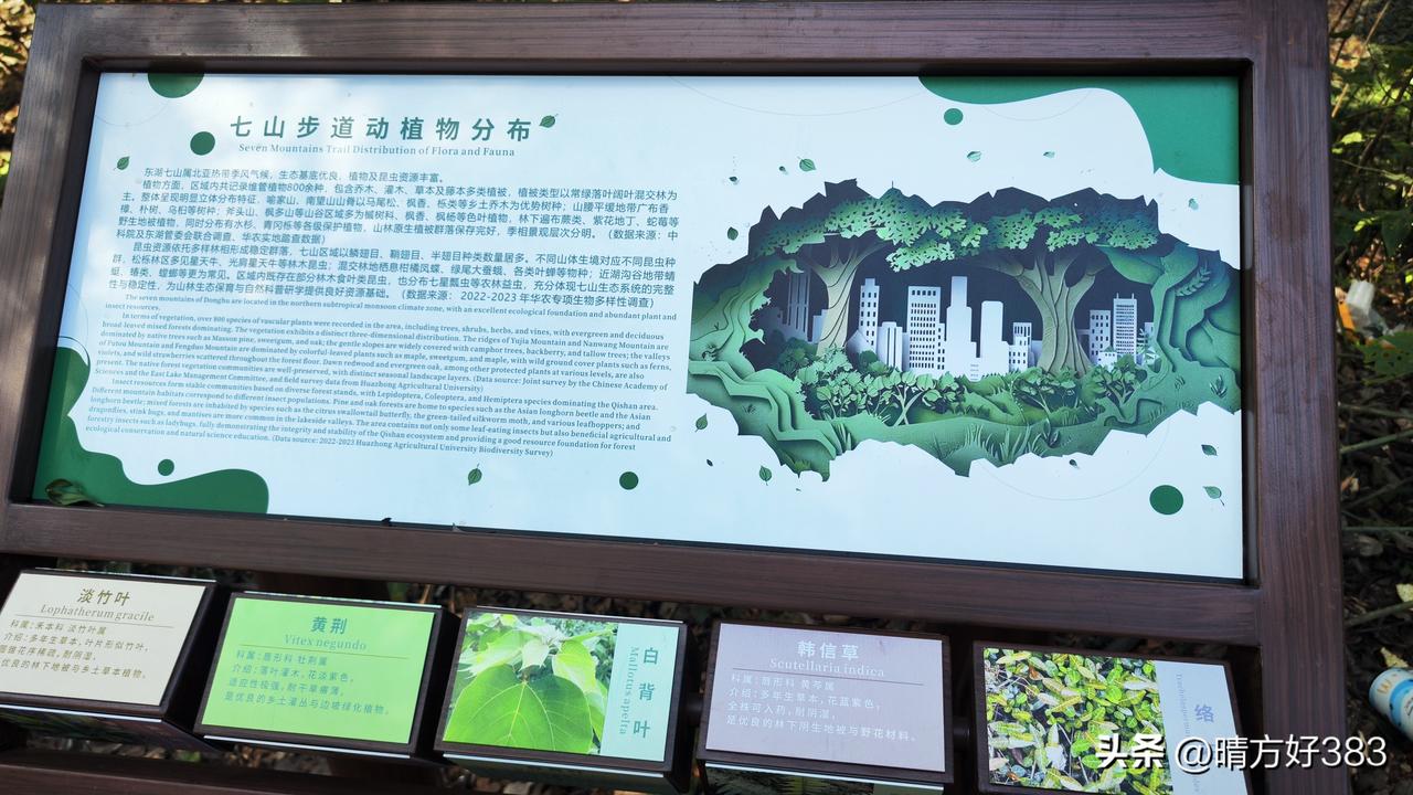 十月六日，我和老Q，去走了东湖七山之一的南望山。南望山很矮，海拔只有一百三十多米