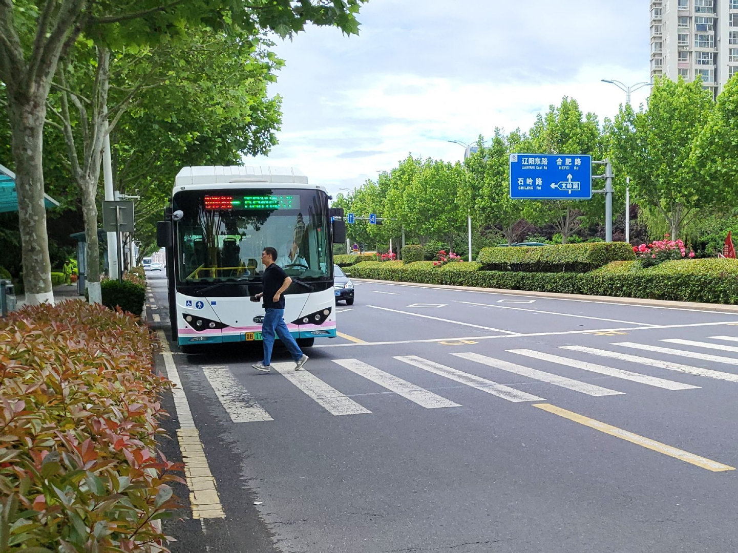 【青岛城运一周获近300条好评！青岛城运绘就文明出行风景线】近日，青岛阴雨天气轮