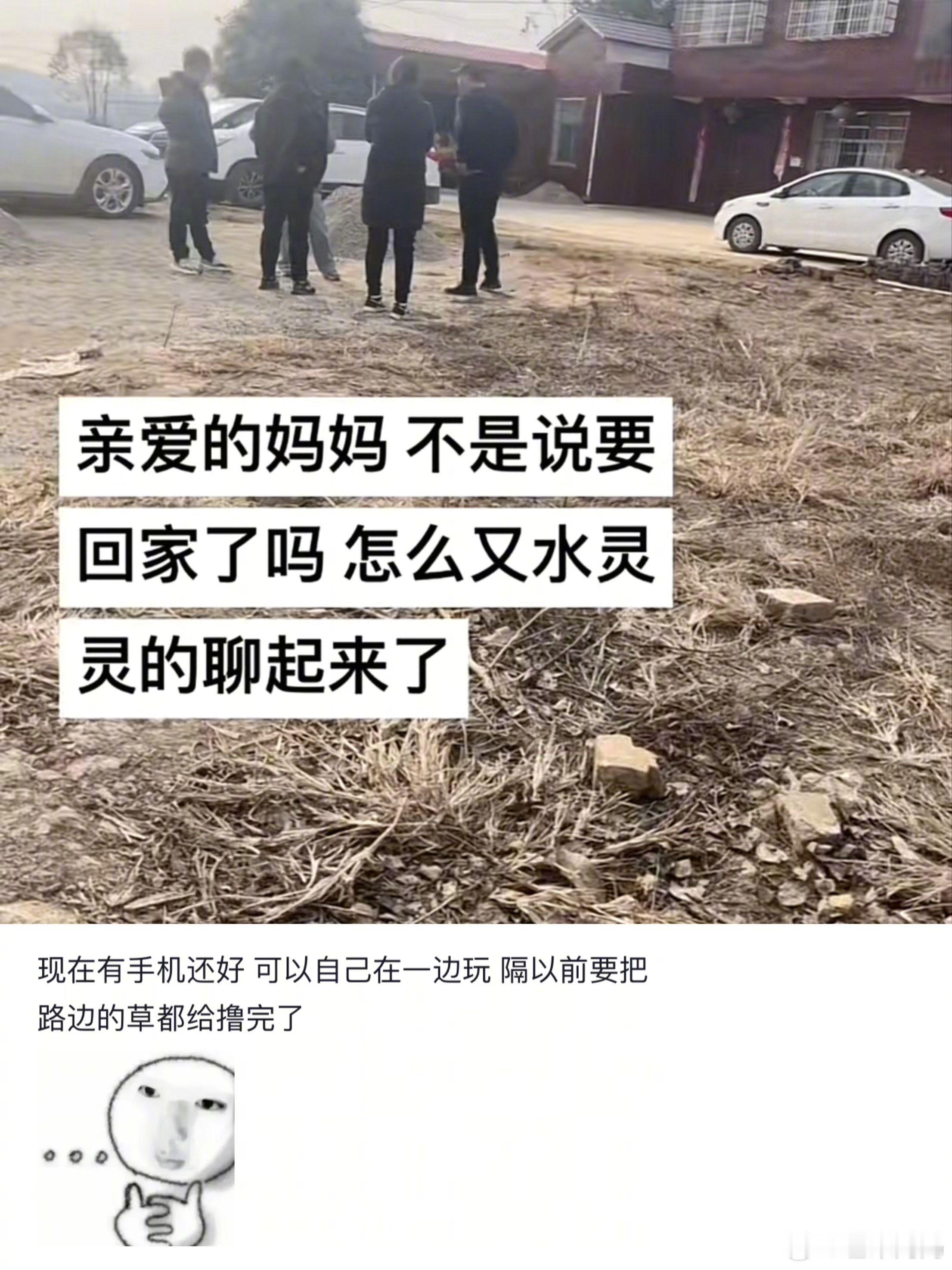 亲爱的妈妈，不是说要回家了吗，怎么又聊起来了🙉 