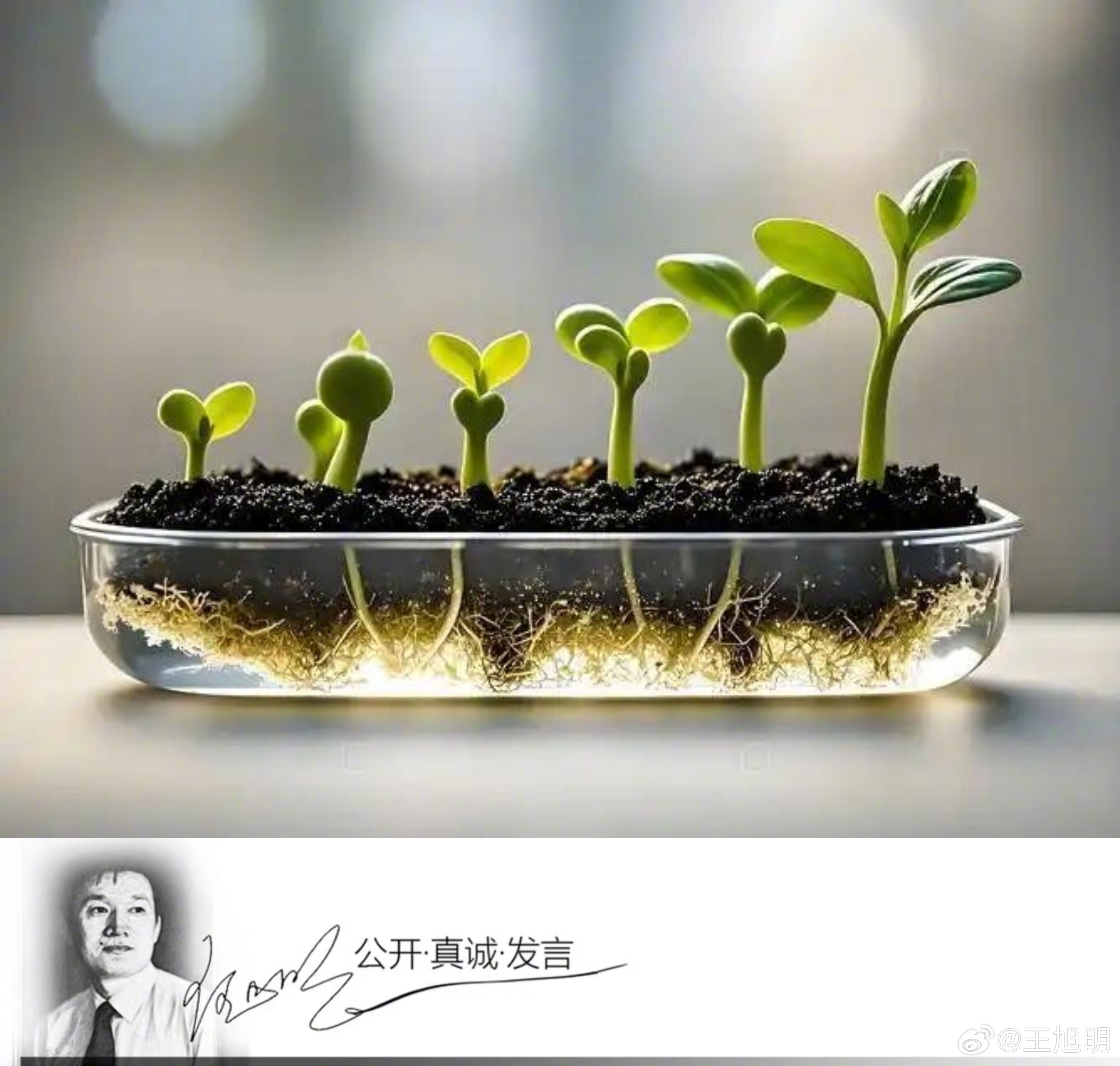 #明说真教育#据报道，某校几个男同学拿着水枪在教室玩耍，10岁的陈某某不小心将水