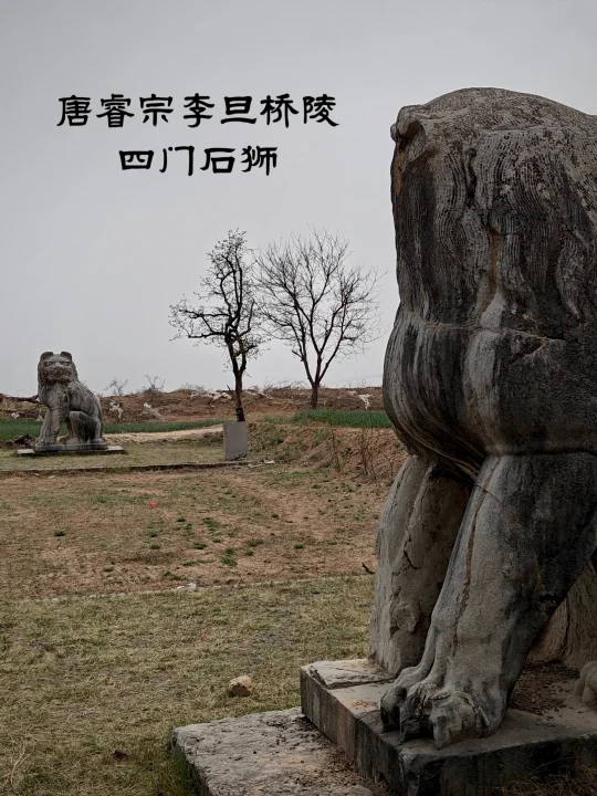 唐睿宗李旦桥陵四门石狮